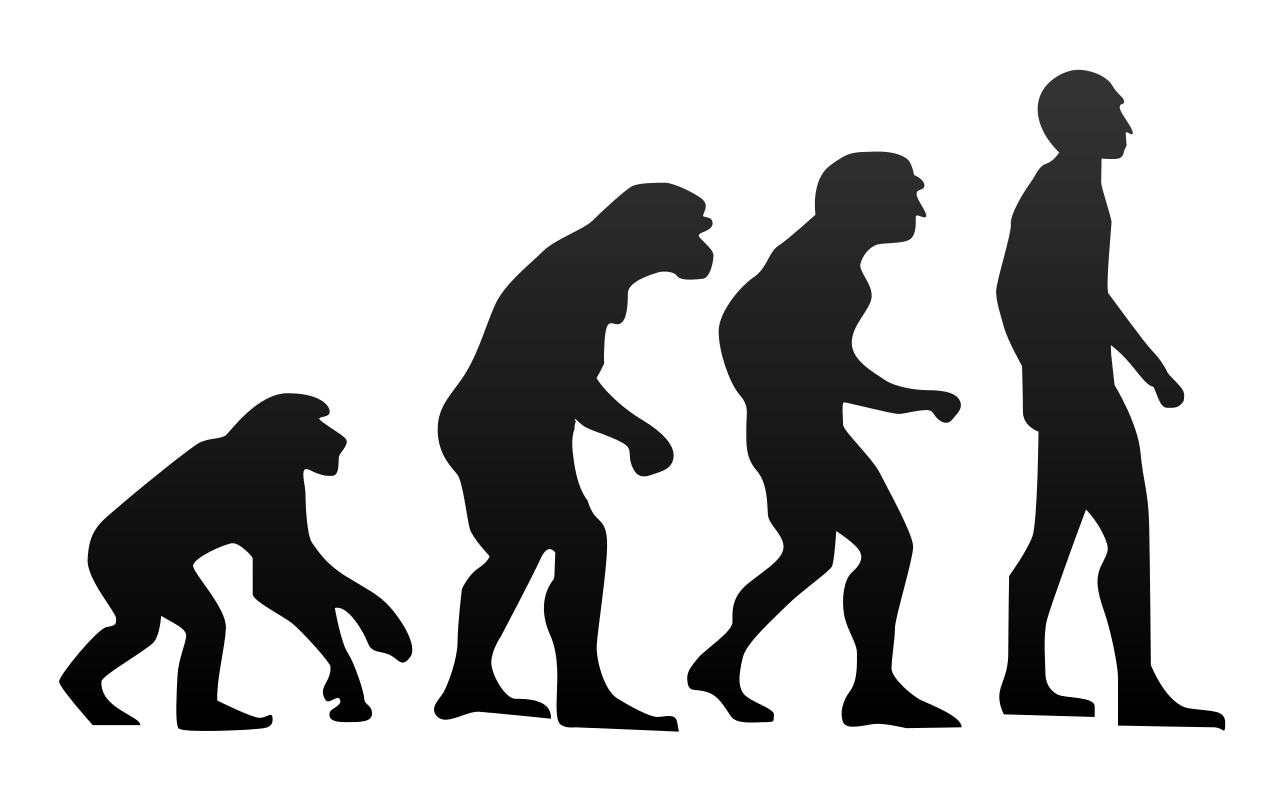 Biologie: Evolutie