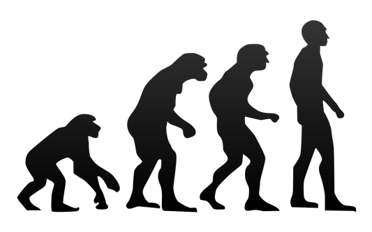 Biologie: Evolutie