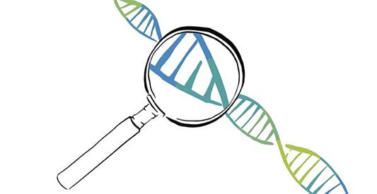 Biologie: Overerving + Genetica