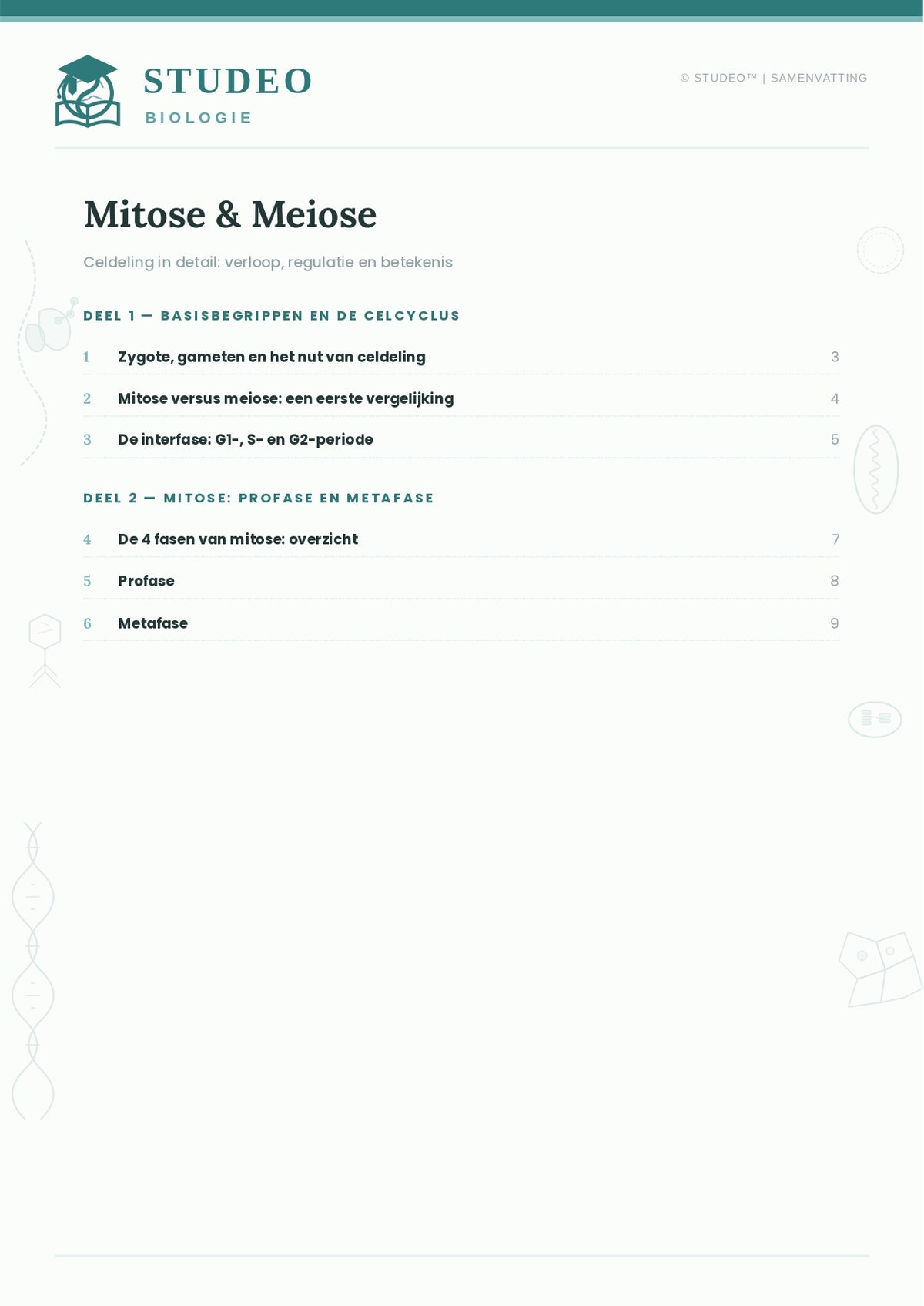 Biologie: Mitose & Meiose
