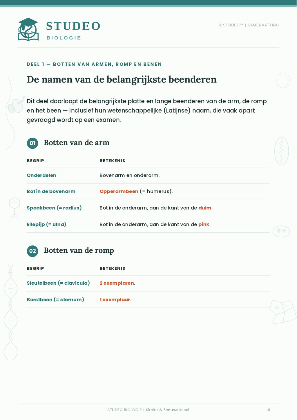 Biologie: Skelet & Zenuwstelsel