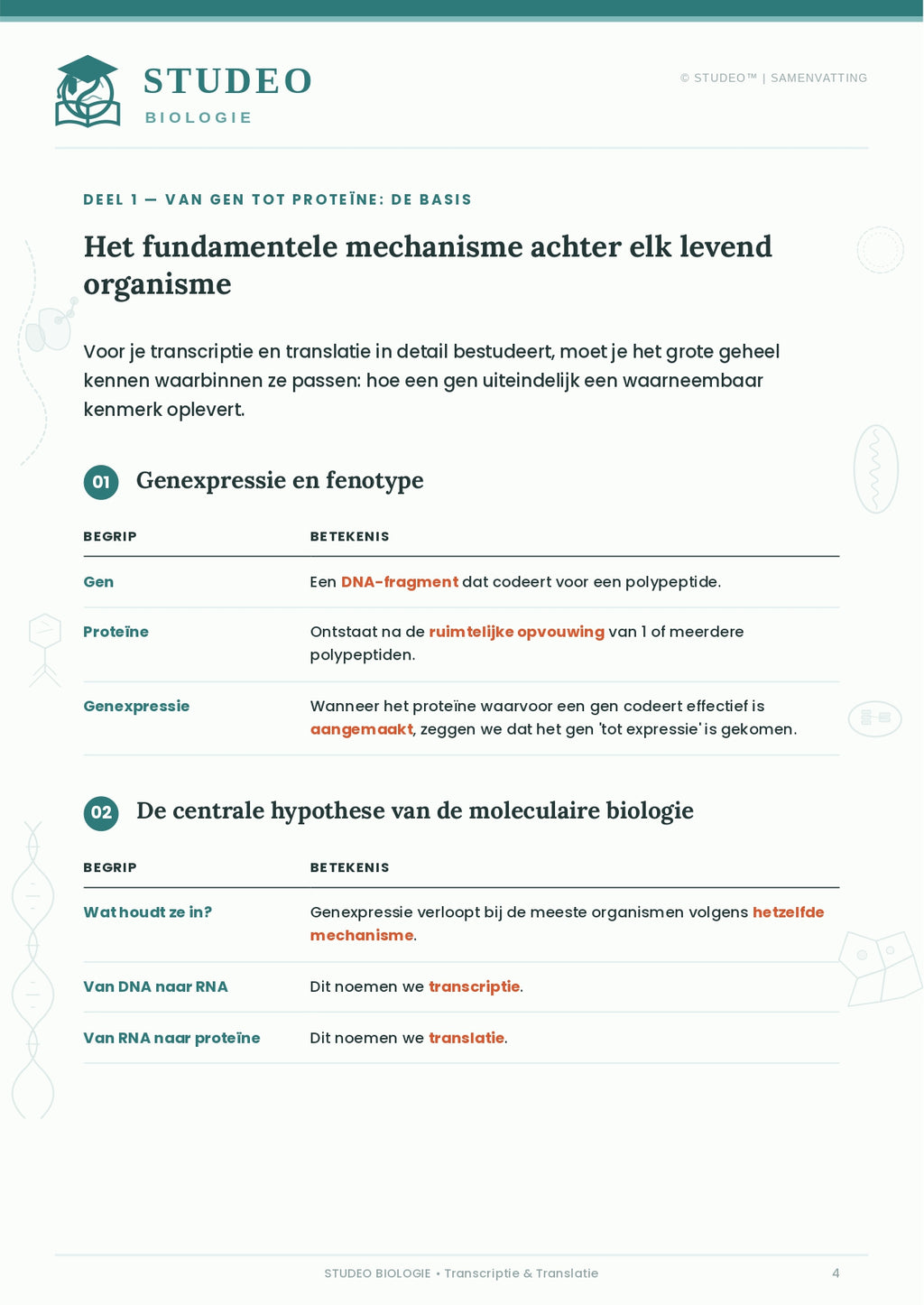 Biologie: Transcriptie & Translatie
