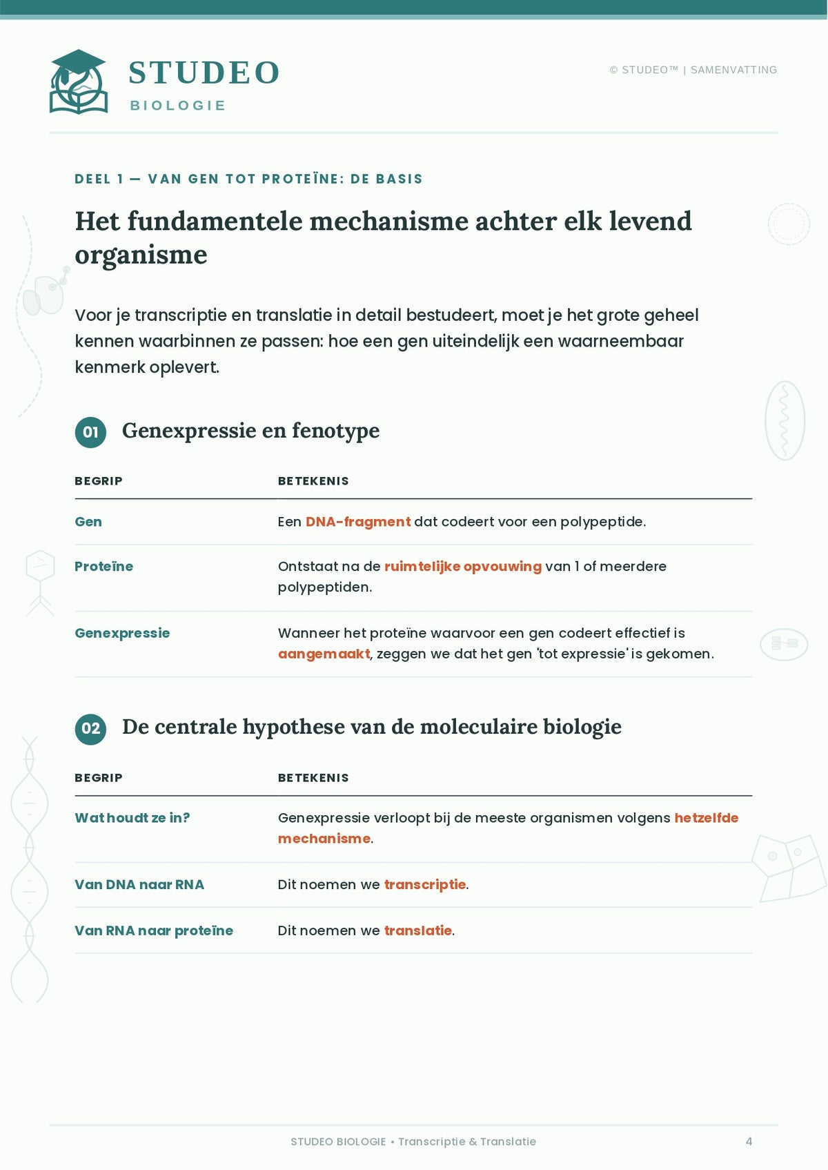 Biologie: Transcriptie & Translatie