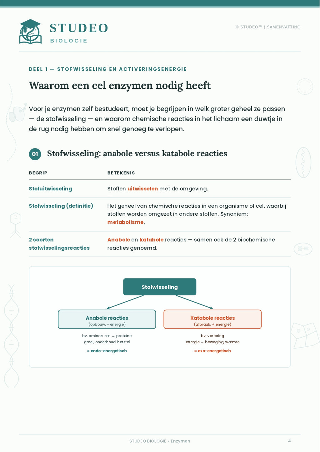 Biologie: Enzymen