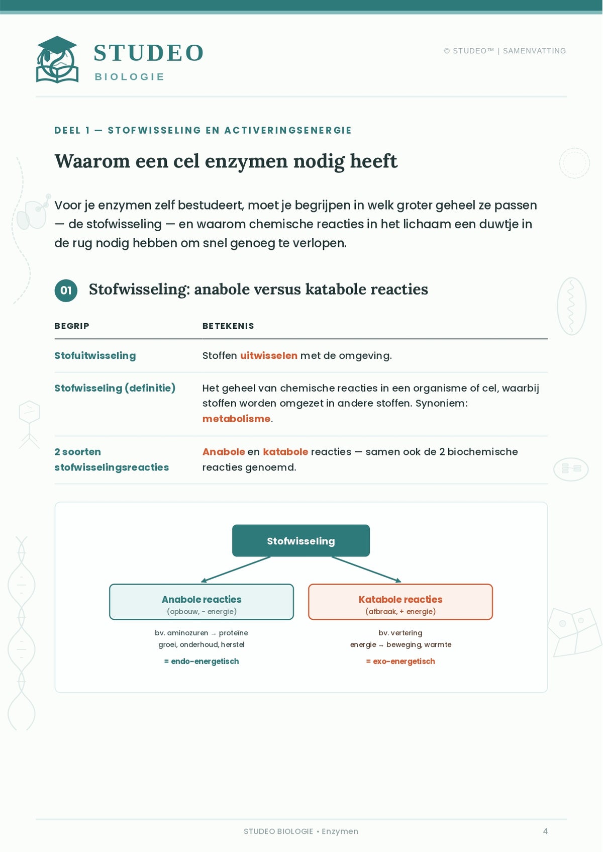 Biologie: Enzymen