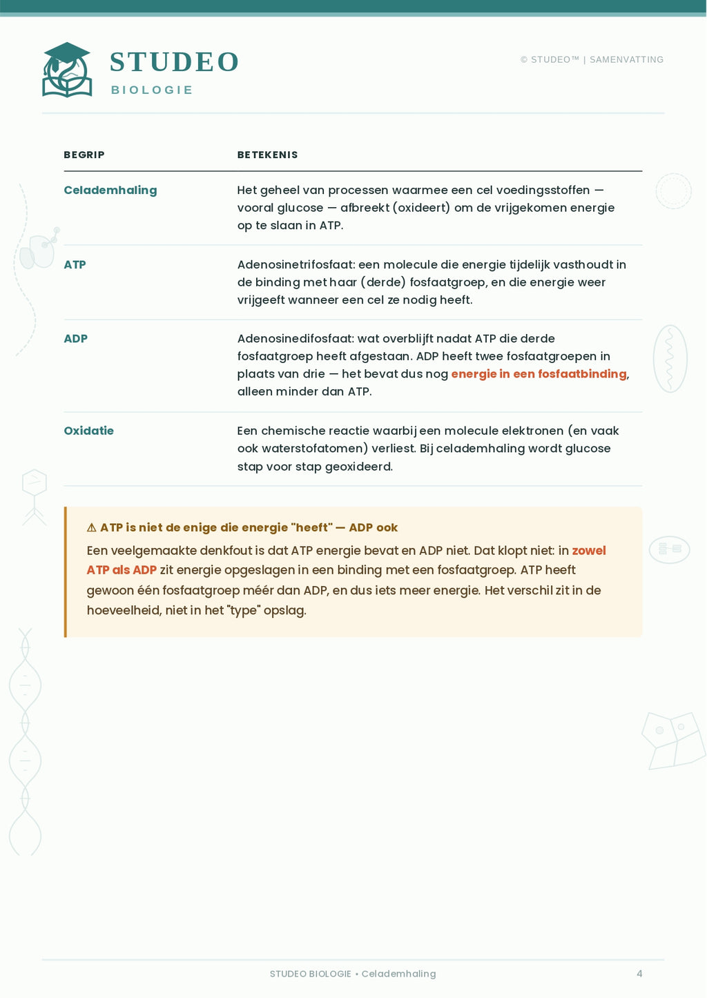 Biologie: Aerobe & Anaerobe Celademhaling