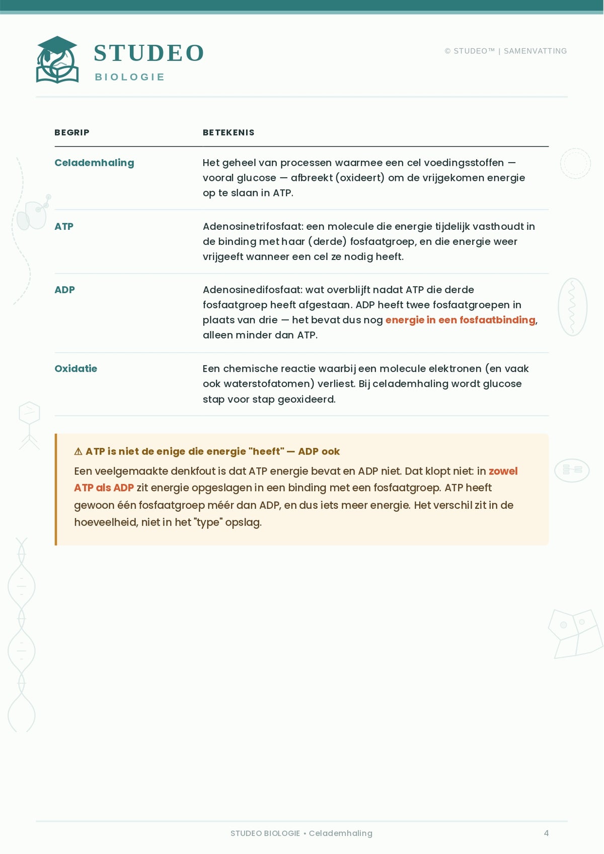 Biologie: Aerobe & Anaerobe Celademhaling
