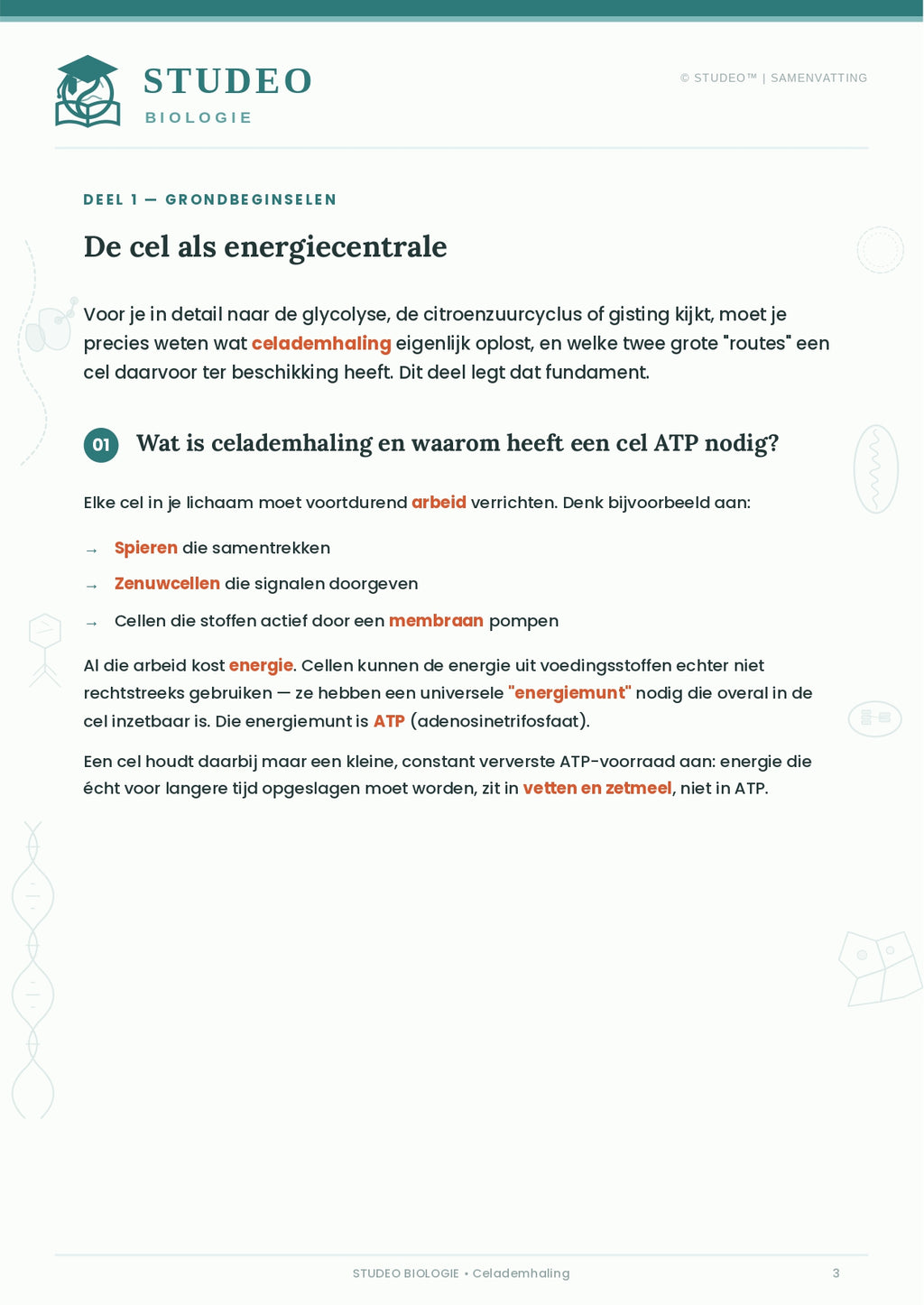 Biologie: Aerobe & Anaerobe Celademhaling