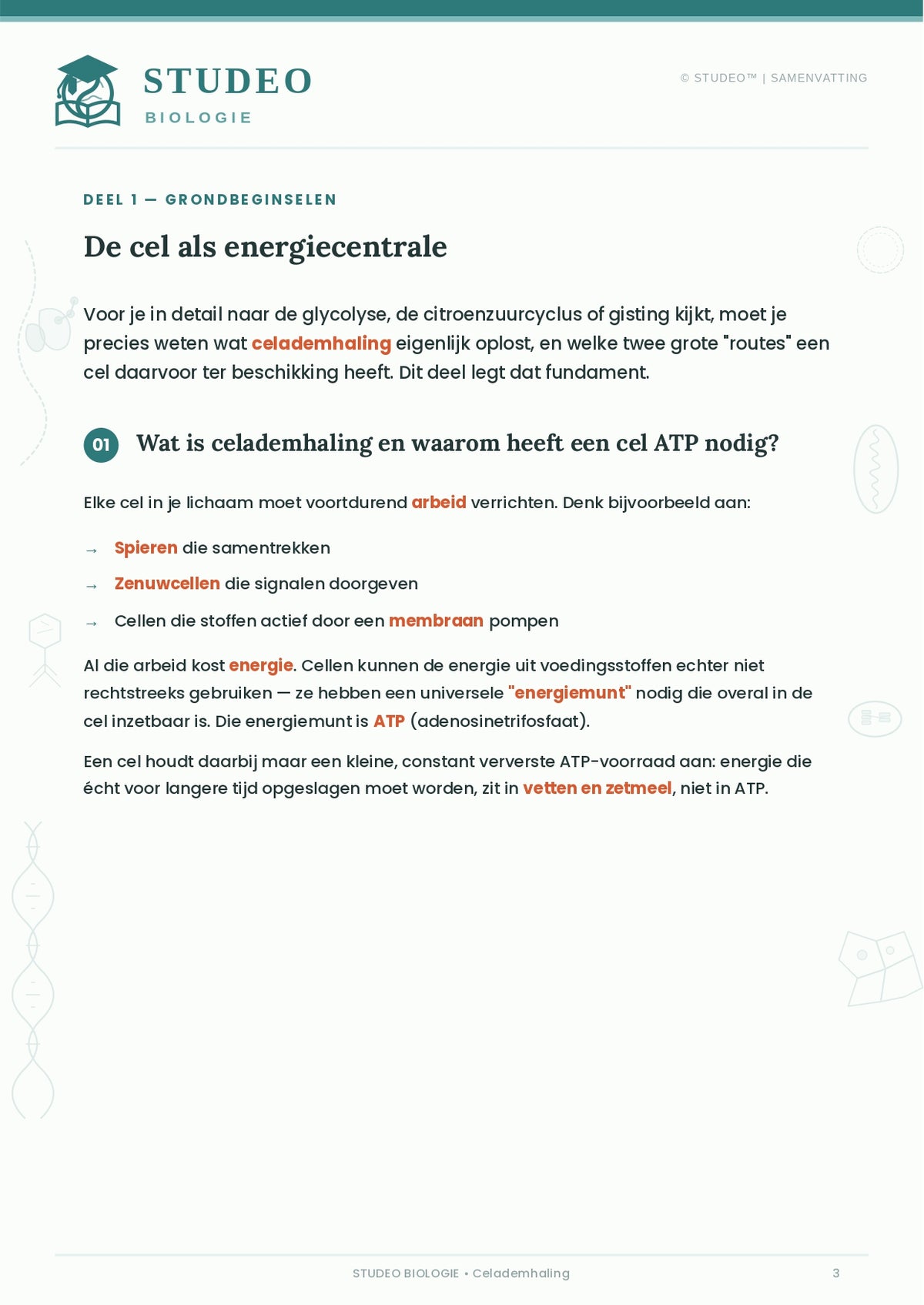 Biologie: Aerobe & Anaerobe Celademhaling